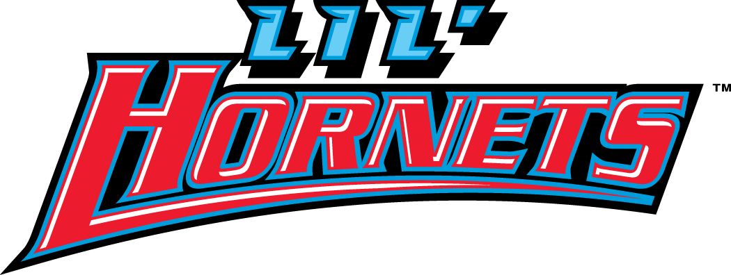 Delaware State Hornets 2004-Pres Misc Logo v3 diy DTF decal sticker